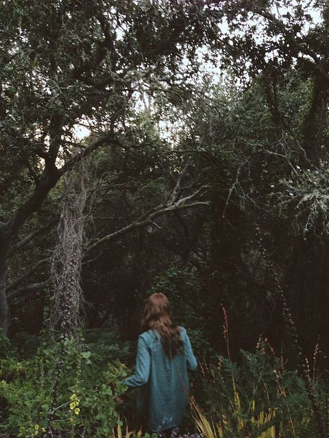 baño de bosque cuenca