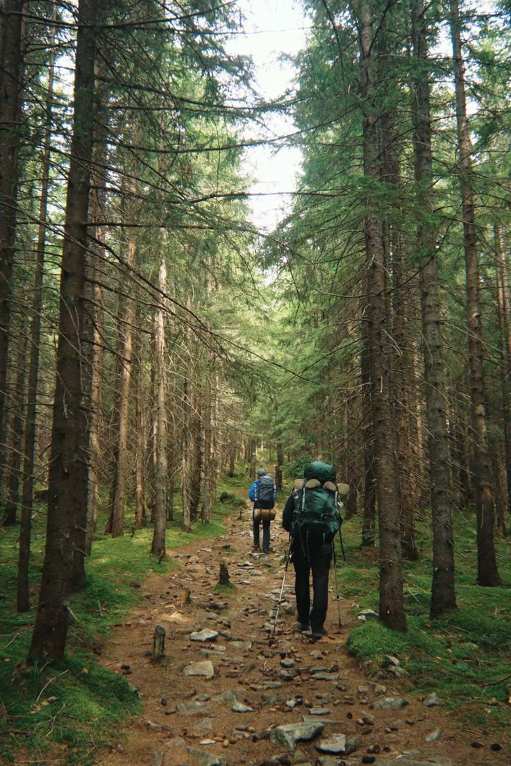 Karpathian Mountains