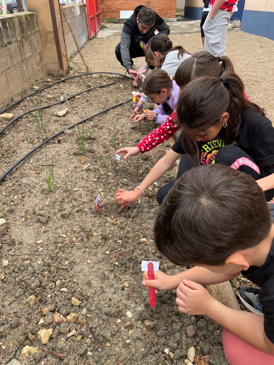 campamento familiar en la naturaleza en Cuenca con niños y familias disfrutando al aire libre