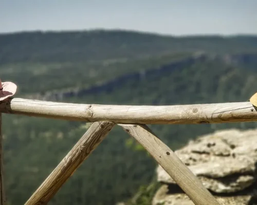Mirador Tio Cogote