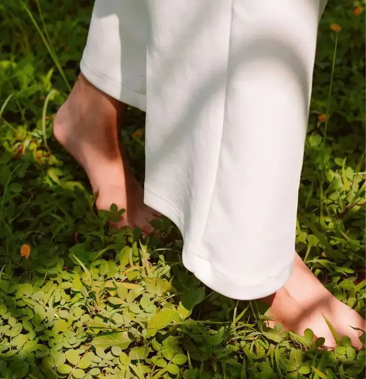 experiencias wellness nesletter