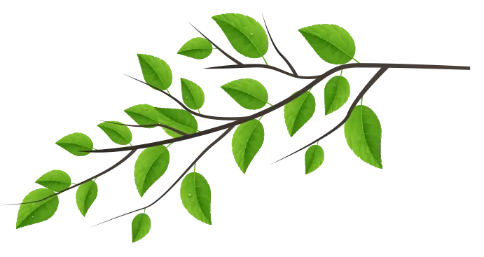 leaves 01 right